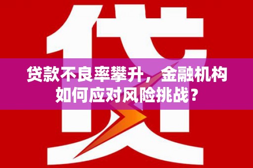 阳高贷款不良率攀升，金融机构如何应对风险挑战？