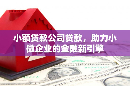 阳高小额贷款公司贷款，助力小微企业的金融新引擎