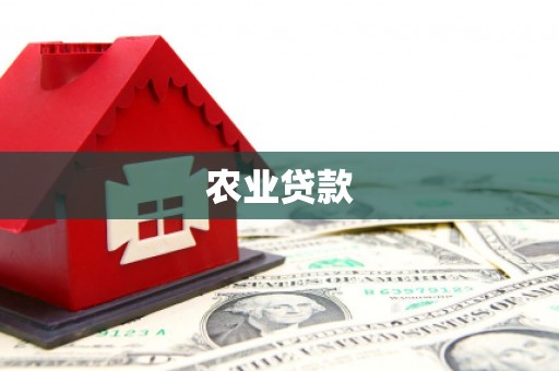 阳高农业贷款