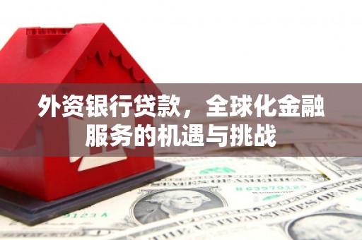阳高外资银行贷款，全球化金融服务的机遇与挑战