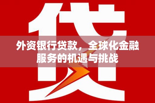 阳高外资银行贷款，全球化金融服务的机遇与挑战
