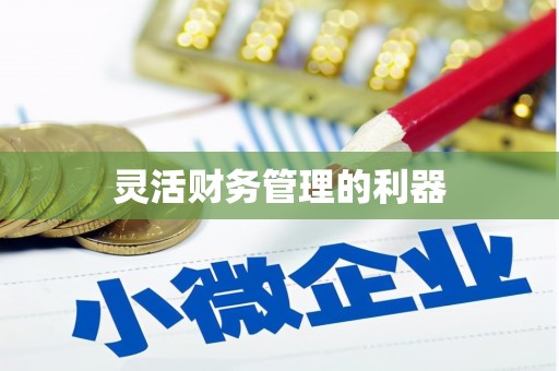 阳高灵活财务管理的利器