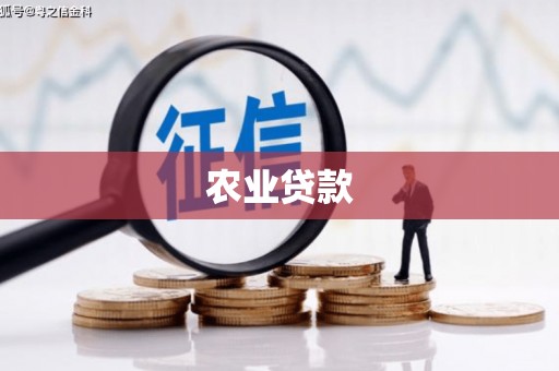 阳高农业贷款