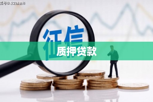 阳高质押贷款