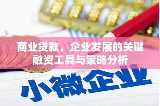 阳高商业贷款，企业发展的关键融资工具与策略分析