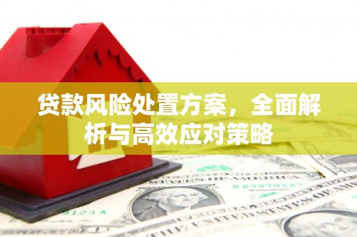 阳高贷款风险处置方案，全面解析与高效应对策略