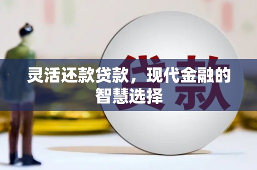 阳高灵活还款贷款，现代金融的智慧选择