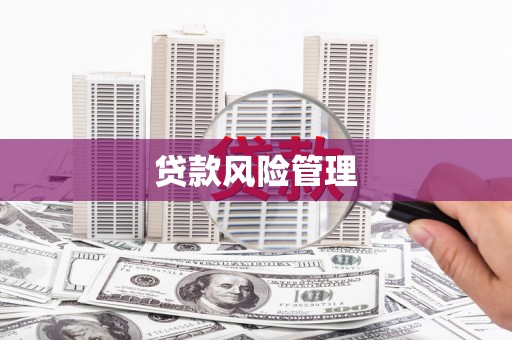 阳高贷款风险管理