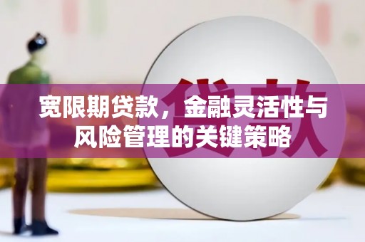 阳高宽限期贷款，金融灵活性与风险管理的关键策略