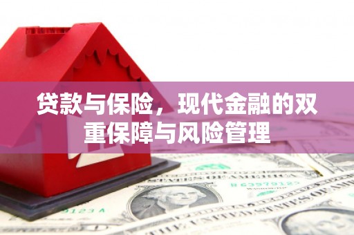 阳高贷款与保险，现代金融的双重保障与风险管理