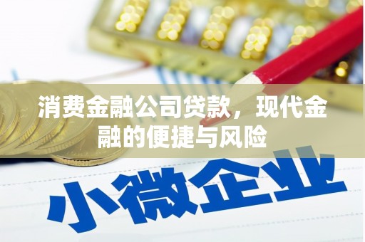 阳高消费金融公司贷款，现代金融的便捷与风险