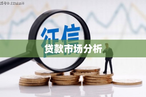阳高贷款市场分析