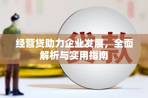 阳高经营贷助力企业发展，全面解析与实用指南