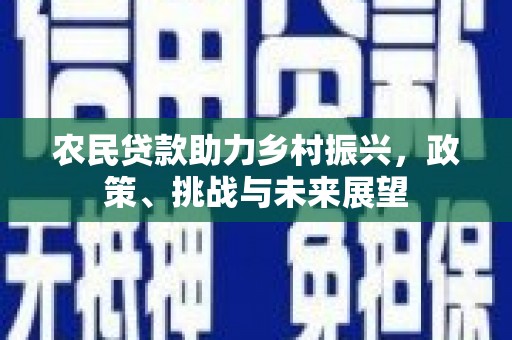 阳高农民贷款助力乡村振兴，政策、挑战与未来展望