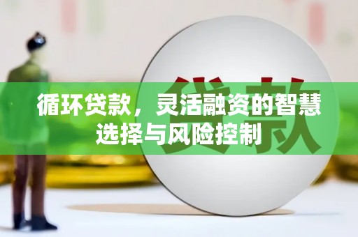 阳高循环贷款，灵活融资的智慧选择与风险控制