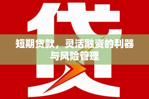 阳高短期贷款，灵活融资的利器与风险管理