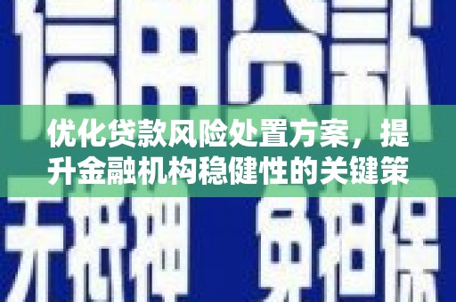 阳高优化贷款风险处置方案，提升金融机构稳健性的关键策略