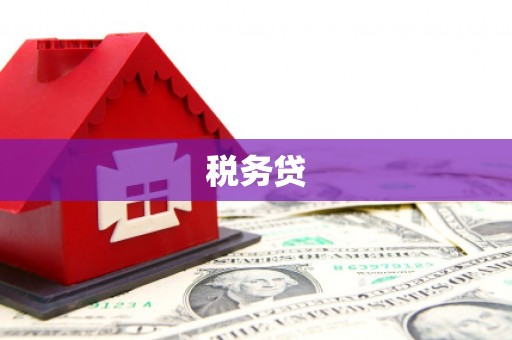 阳高税务贷