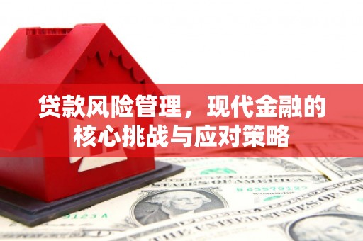 阳高贷款风险管理，现代金融的核心挑战与应对策略