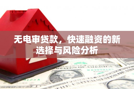 阳高无电审贷款，快速融资的新选择与风险分析