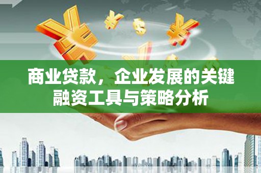 阳高商业贷款，企业发展的关键融资工具与策略分析
