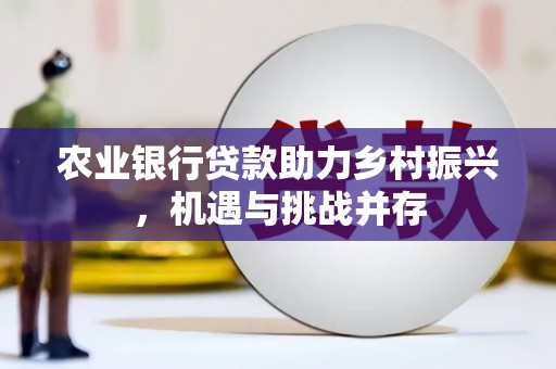 阳高农业银行贷款助力乡村振兴，机遇与挑战并存