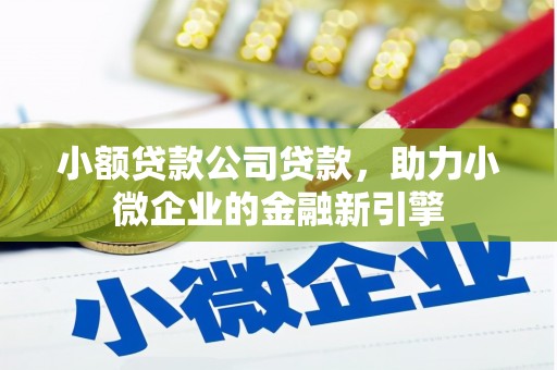 阳高小额贷款公司贷款，助力小微企业的金融新引擎
