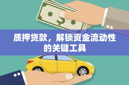 阳高质押贷款，解锁资金流动性的关键工具