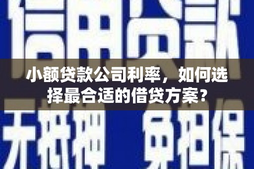 阳高小额贷款公司利率，如何选择最合适的借贷方案？