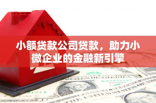 阳高小额贷款公司贷款，助力小微企业的金融新引擎