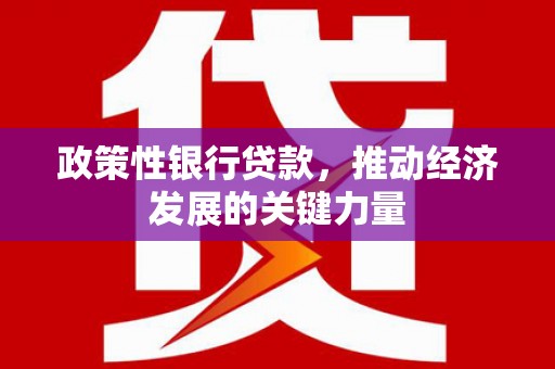 阳高政策性银行贷款，推动经济发展的关键力量