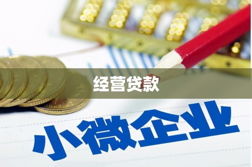 阳高经营贷款