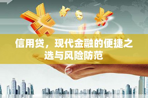 阳高信用贷，现代金融的便捷之选与风险防范
