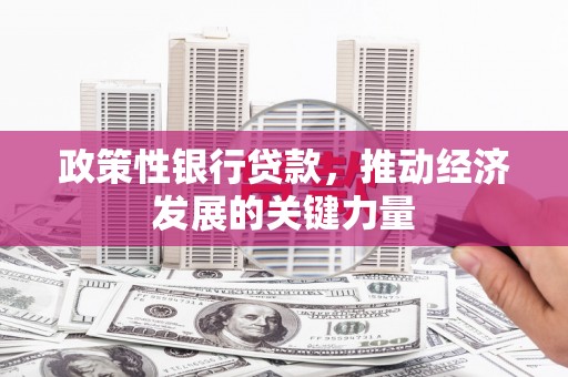 阳高政策性银行贷款，推动经济发展的关键力量