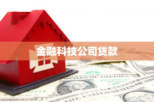 阳高金融科技公司贷款