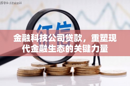 阳高金融科技公司贷款，重塑现代金融生态的关键力量