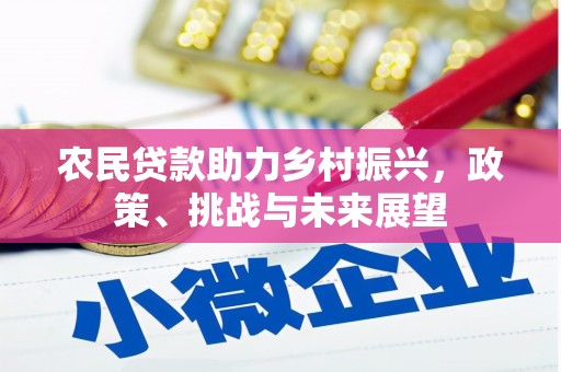阳高农民贷款助力乡村振兴，政策、挑战与未来展望