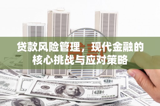 阳高贷款风险管理，现代金融的核心挑战与应对策略