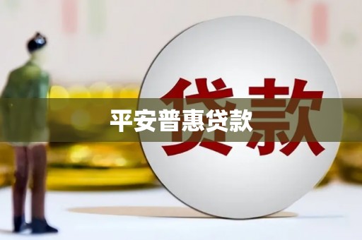 阳高平安普惠贷款