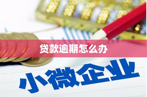 阳高贷款逾期怎么办