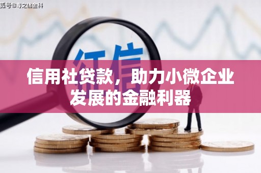 阳高信用社贷款，助力小微企业发展的金融利器