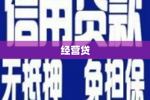 阳高经营贷