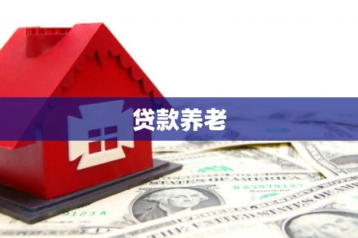 阳高贷款养老
