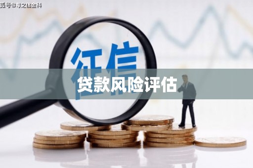 阳高贷款风险评估