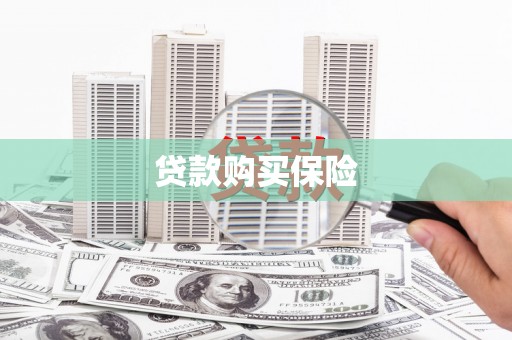 阳高贷款购买保险