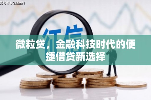 阳高微粒贷，金融科技时代的便捷借贷新选择