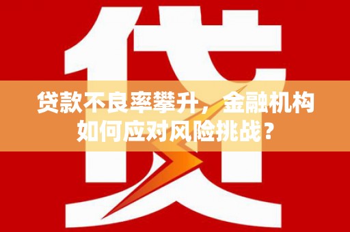 阳高贷款不良率攀升，金融机构如何应对风险挑战？