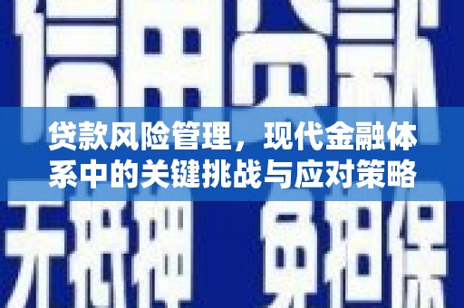阳高贷款风险管理，现代金融体系中的关键挑战与应对策略
