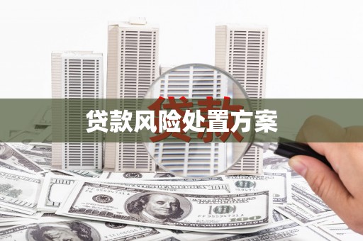 阳高贷款风险处置方案