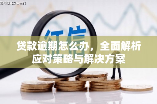 阳高贷款逾期怎么办，全面解析应对策略与解决方案